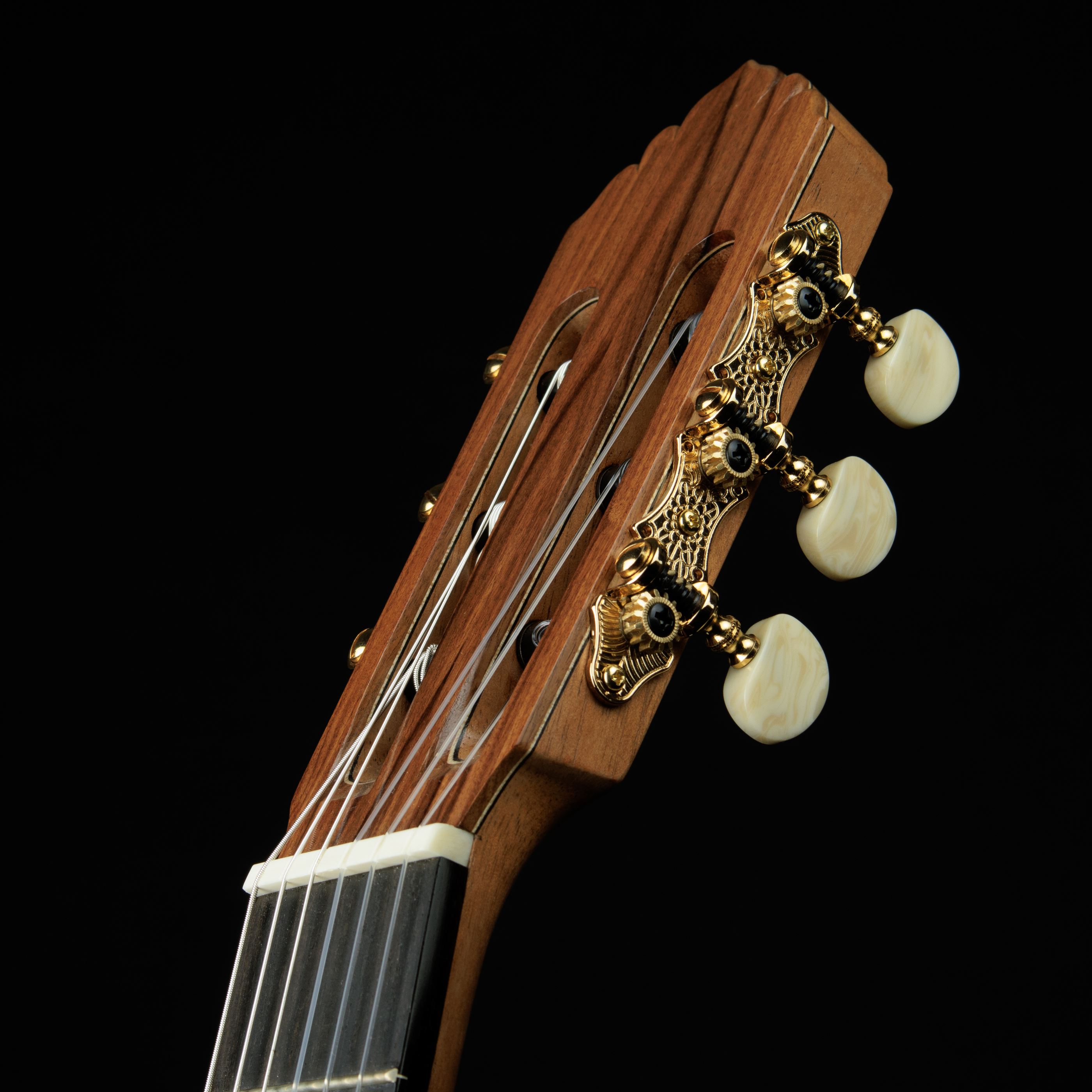 Guitarra inteira